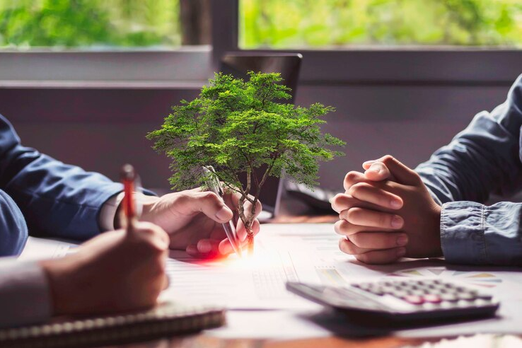 Nhà đầu tư sẽ phớt lờ trước các founder lần đầu gọi vốn 